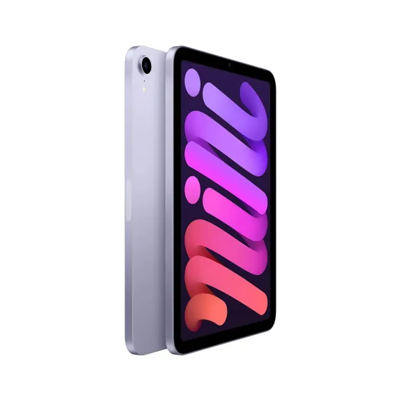 Apple iPad mini 2021 Wi-Fi 256Gb Фиолетовый Purple