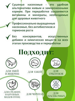 Зофобас сушёный ONTO (лакомство), 25 г