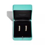 Серьги из платины и жёлтого золота 18k с бриллиантами, Tiffany 💠 Sixteen stone - Jean Shlumberge - Единственные в наличии