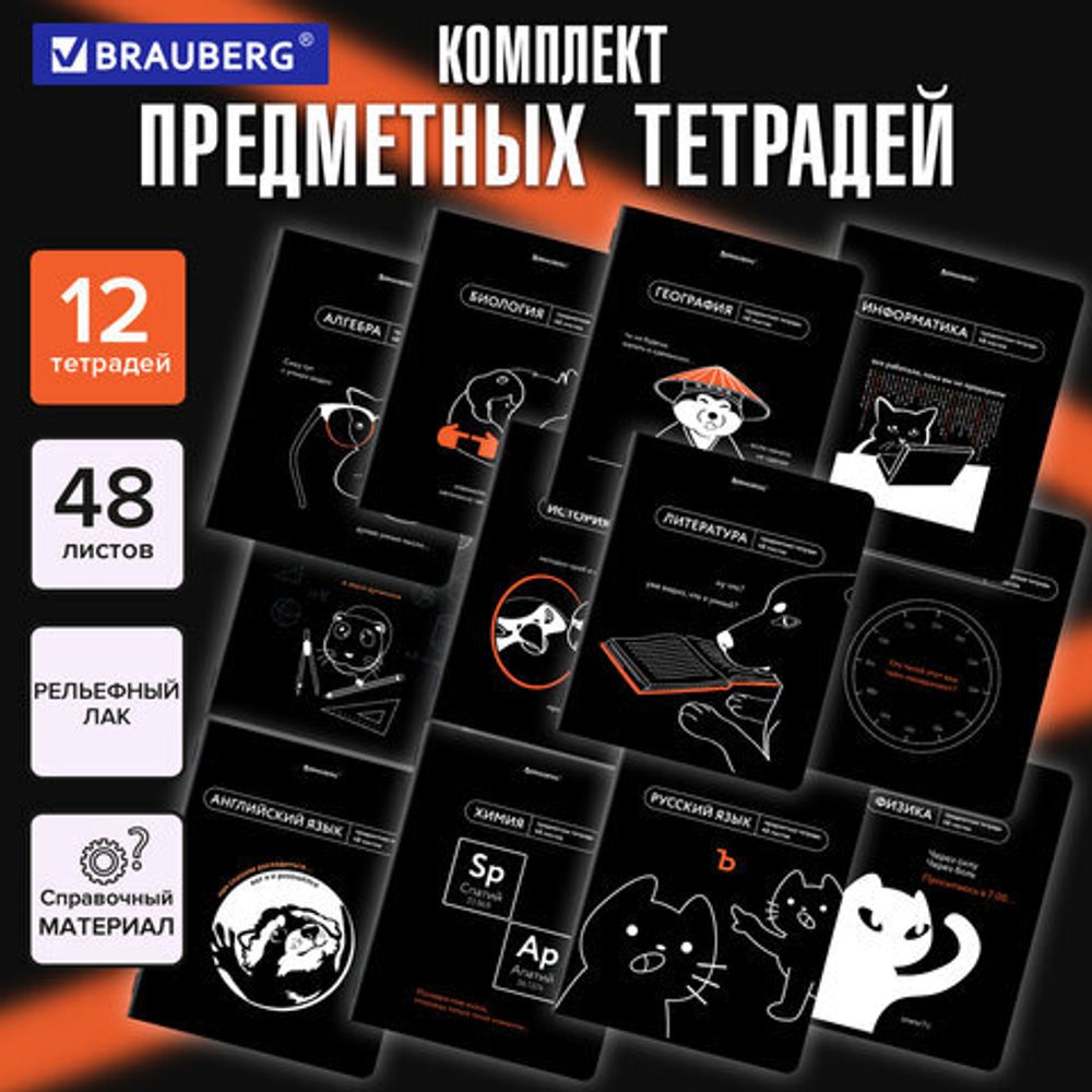 Тетради предметные, КОМПЛЕКТ 12 ПРЕДМЕТОВ, 48 л., TWIN лак, BRAUBERG "МЕМЫ", 405172