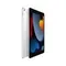 Apple iPad 9 Wi-Fi+Cellular 256Gb Серебристый Silver