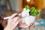 Набор для выращивания eco Овечка