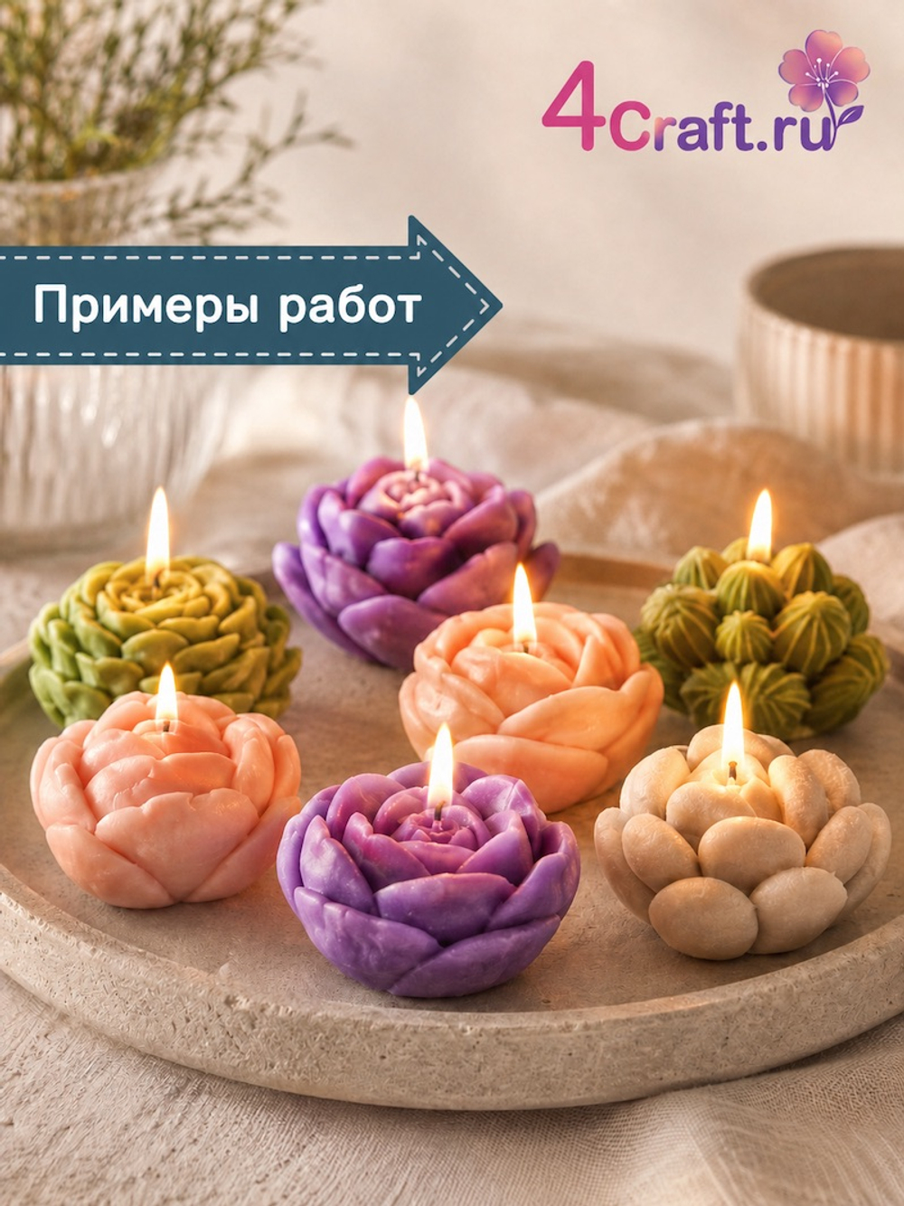 Молд Суккулент семицветик