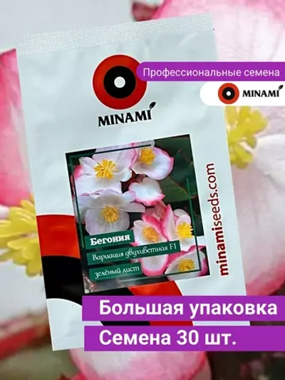 Бегония Вариация двухцветная F1 зеленый лист