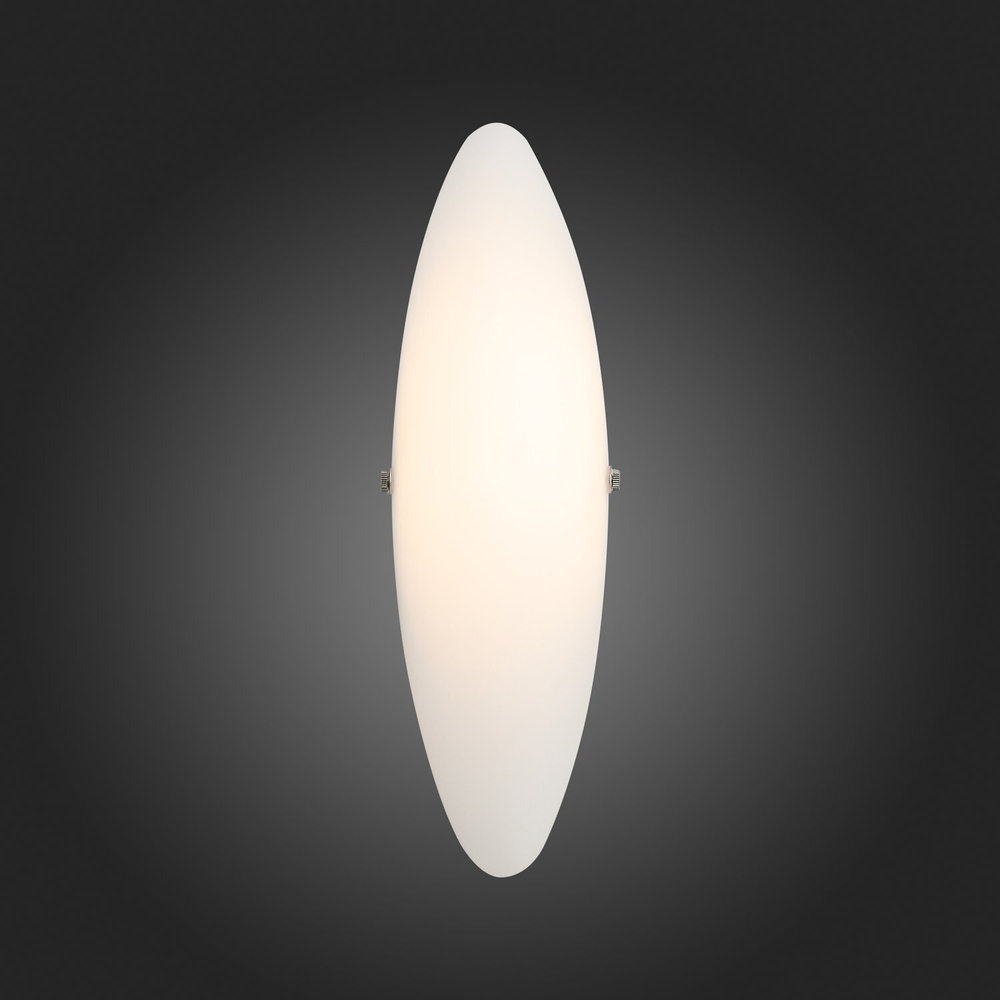 Светильник настенный ST Luce Snello SL508.511.01