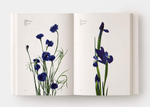 Flower colour guide