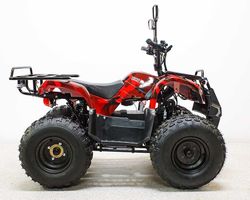 Квадроцикл подростковый GreenCamel Гоби Атакама T120 (48V 800W R8 Цепь)