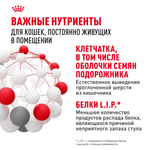 Royal Canin Indoor Индор Корм сухой сбалансированный для взрослых кошек в возрасте от 1 года до 7 лет живущих в помещении 4кг