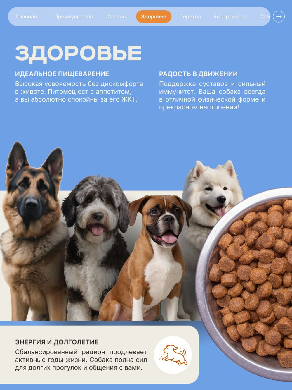 Корм сухой для взрослых собак породы Акита-ину, премиум полнорационный комплекс, с индейкой, 12 кг, QUATTRO