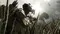 Xbox 360 Call of Duty: Ghosts (Б/У, Полностью на русском языке)