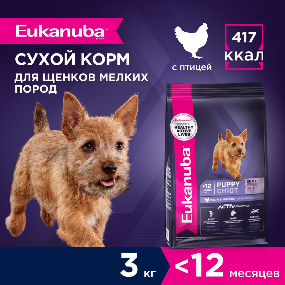 Сухой корм Eukanuba Puppy Small Breed <12 months для щенков мелких пород с курицей 3 кг