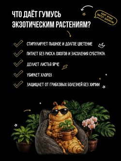 Удобрение для экзотических растений, зоогумус