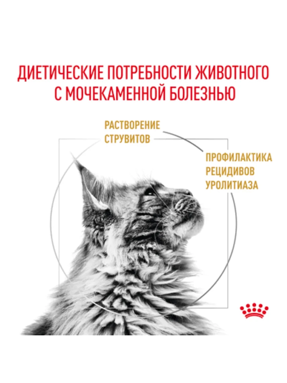Urinary S/O LP 34 Feline 1,5кг Корм для кошек при МКБ