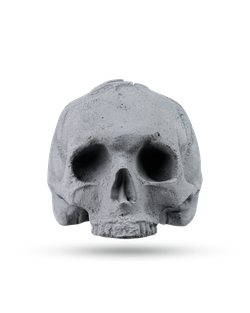KOSTIN SKULL grey
