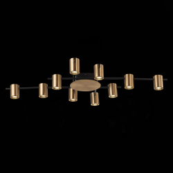 Светильник потолочный ST Luce Veroli SL1207.402.10