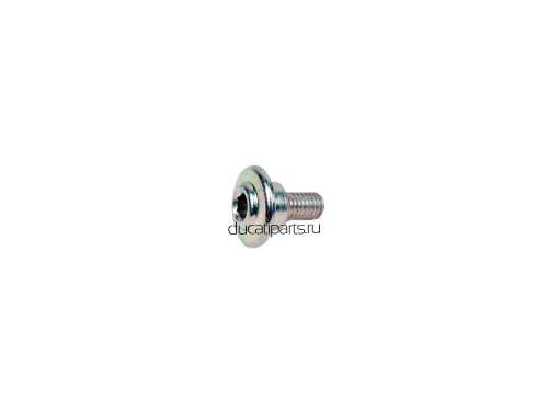 77214411AB (77210852A) SCREW (2pcs)