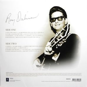 Roy Orbison / 20 Golden Classics (LP)