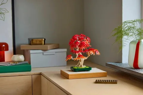 Конструктор LEGO Botanical Collection 10348 Бонсай из японского красного клена