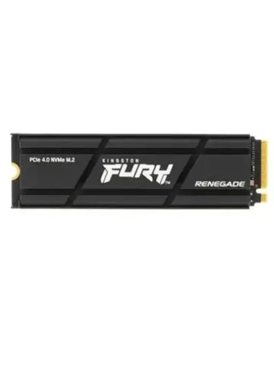 1 ТБ M.2 SSD накопитель FURY Renegade SFYRSK/1000G