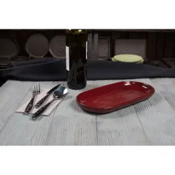 Блюдо овальное 29,5*14 см h2,6 см Evolution Dark Red P.L. Proff Cuisine [1]