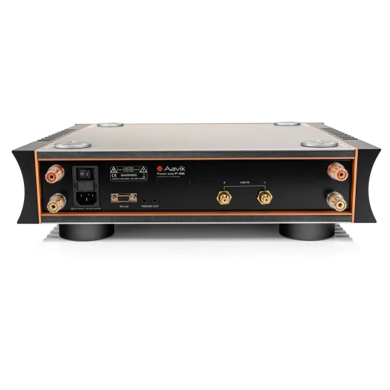Aavik P-288 Black Silver