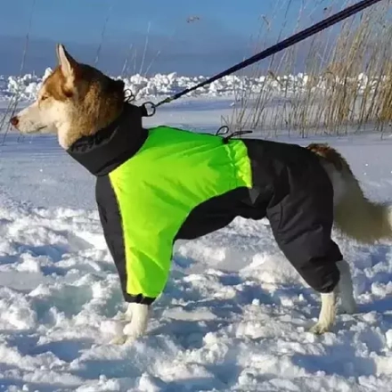 Комбинезон зимний для собаки White Wolf вырез на девочку лимонно-черный