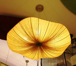Coral by Aqua Creations ( yellow ) 2