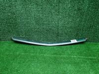 Молдинг решетки радиатора Geely Coolray (19-24)