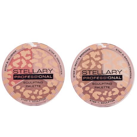 Stellary Sculpting Palette 3в1