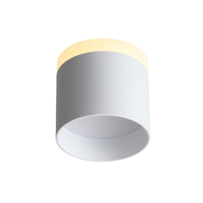 ST102.502.12 Светильник потолочный Белый LED 1*12W 3000K 936Lm Ra>80 120° IP20 D100xH90 170-240V