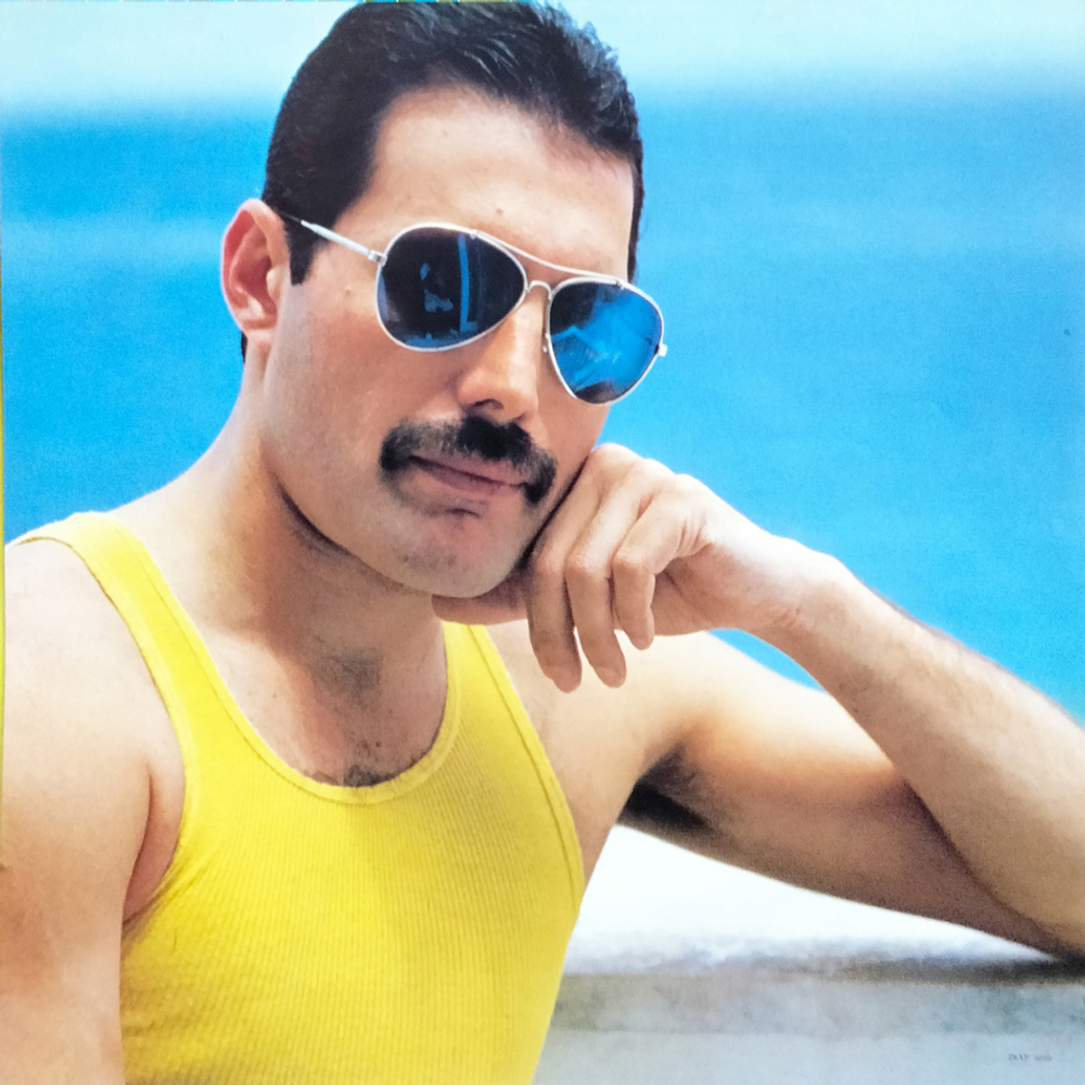 Freddie Mercury / Mr. Bad Guy (LP)