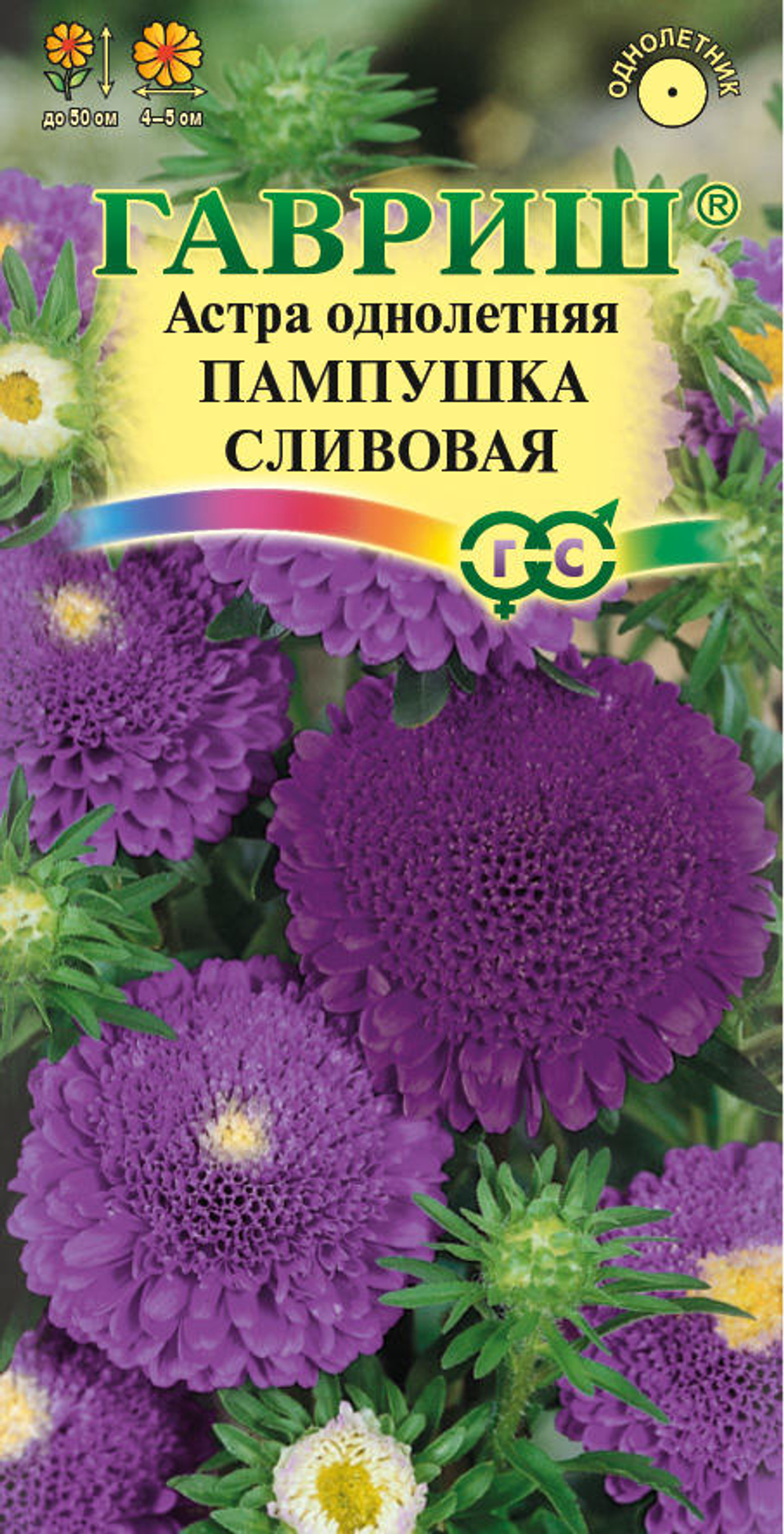 Астра Пампушка сливовая  0,3гр Гавриш