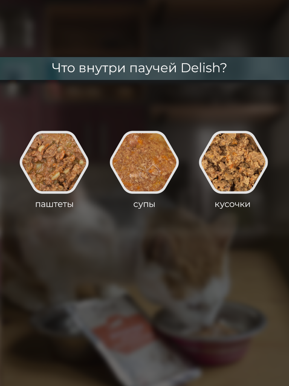 НАБОР Консервы DELISH Super Premium для кошек (суп) с треской и рисом - 10 шт х 80 гр