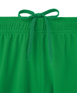 Шорты игровые Jogel DIVISION PerFormDRY Union Shorts-K, зеленый 72