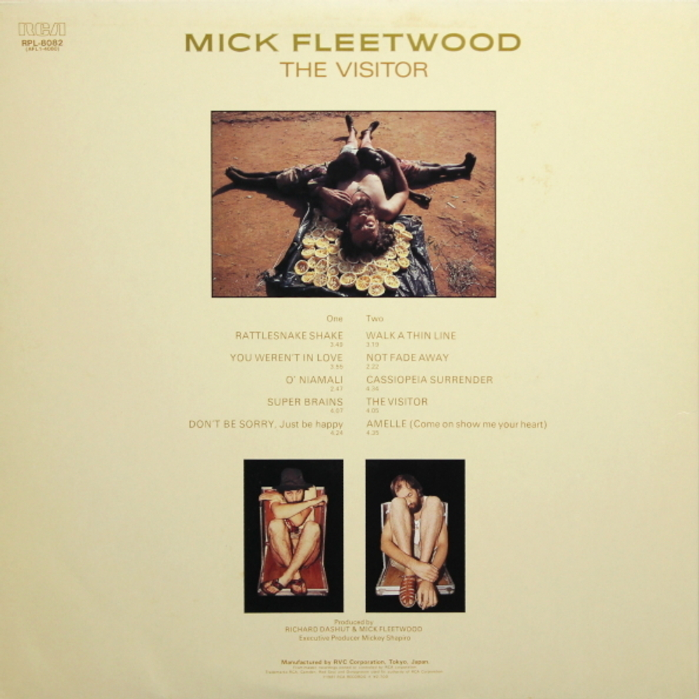 Mick Fleetwood / The Visitor (LP)