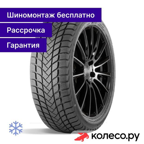 Winter Lander 195/65 R15 91H