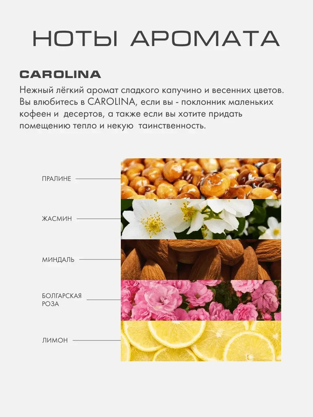 Диффузор Каролина (Carolina) S
