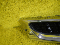 DSCN4485.JPG