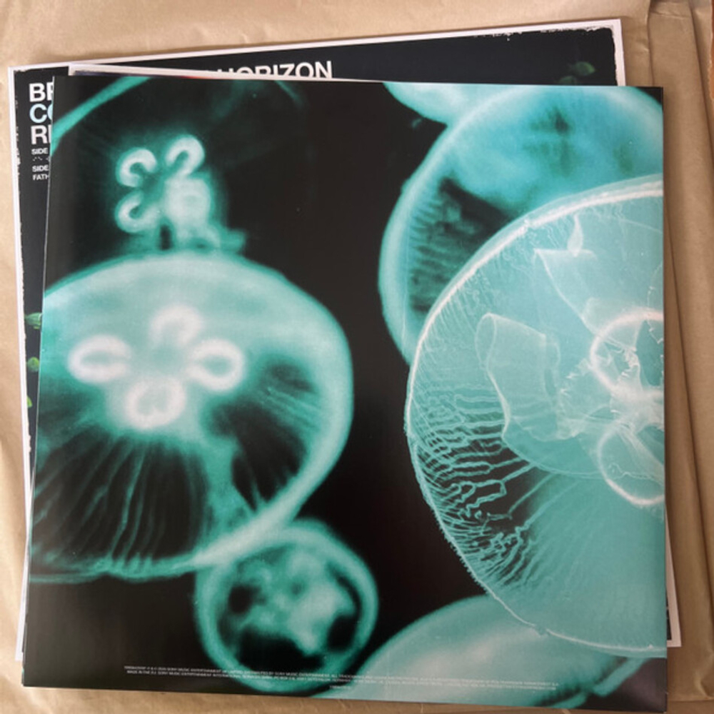 Bring Me The Horizon / Count Your Blessings Repented. (LP)