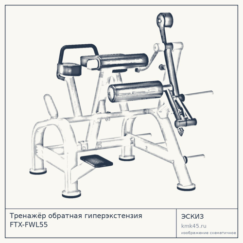 Тренажёр обратная гиперэкстензия FTX-FWL55 — от 179 000 ₽