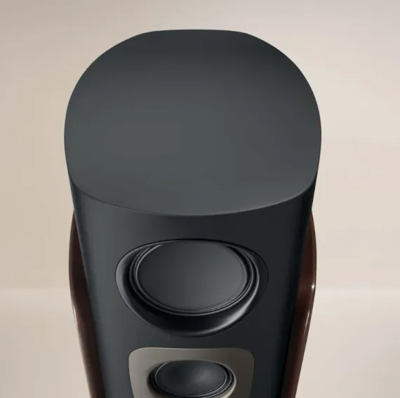 Canton Reference GS Grey/Walnut