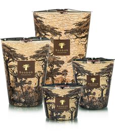 Mankono, свеча MAX 10 Sacred Trees collection, Baobab Collection