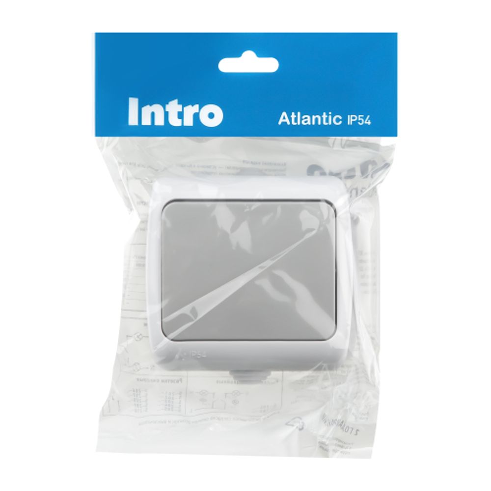 Выключатель Intro Atlantic 5-101-03 10А-250В, IP54, открытой установки, серый | Intro
