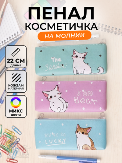 Пенал-косметичка "Котик" плоский, 1отд. на молнии, микс, D-608B-3577