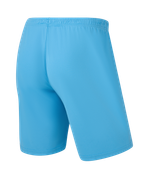 Шорты игровые CAMP Classic Shorts, голубой, детский