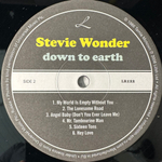 Stevie Wonder ‎– Down To Earth (Европа 2006г.)