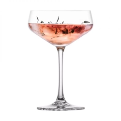 Набор бокалов для шампанского/вина 6шт 277мл Zwiesel Glas Echo