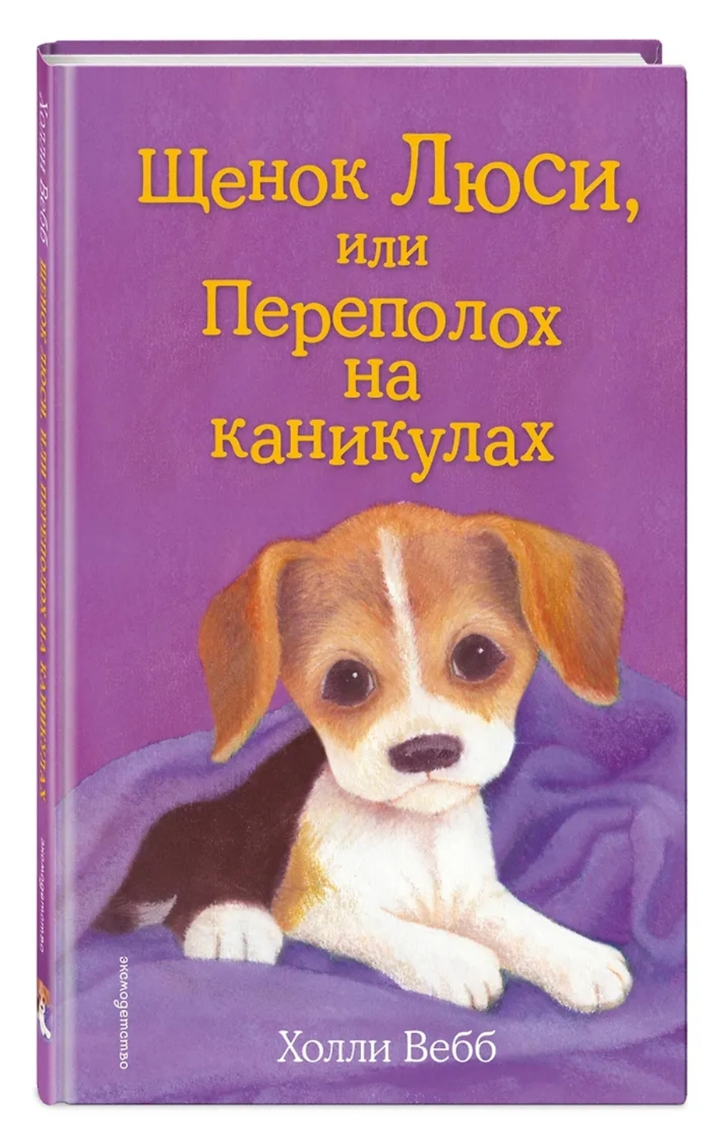 Холли Вебб: Щенок Люси, или Переполох на каникулах