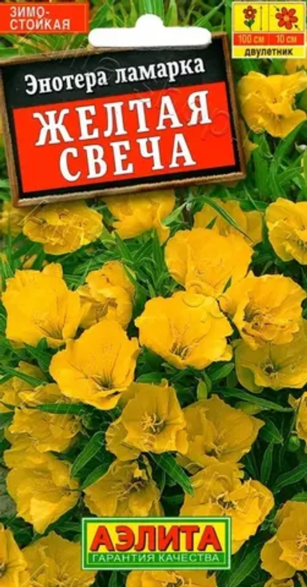 Энотера Желтая свеча 0,2г (Аэлита)