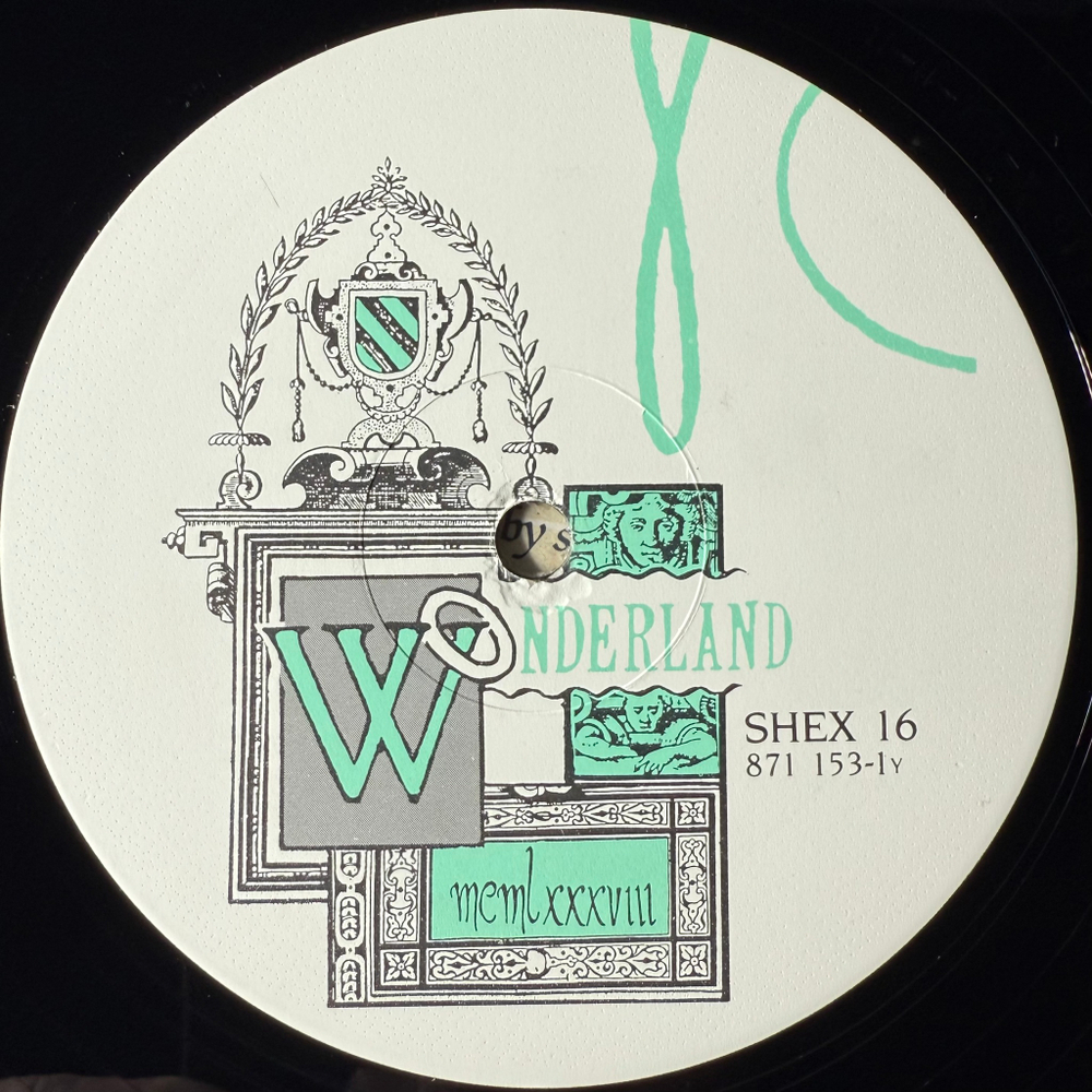 Siouxsie And The Banshees ‎– The Last Beat Of My Heart (Англия 1988г.) 12", 45 RPM